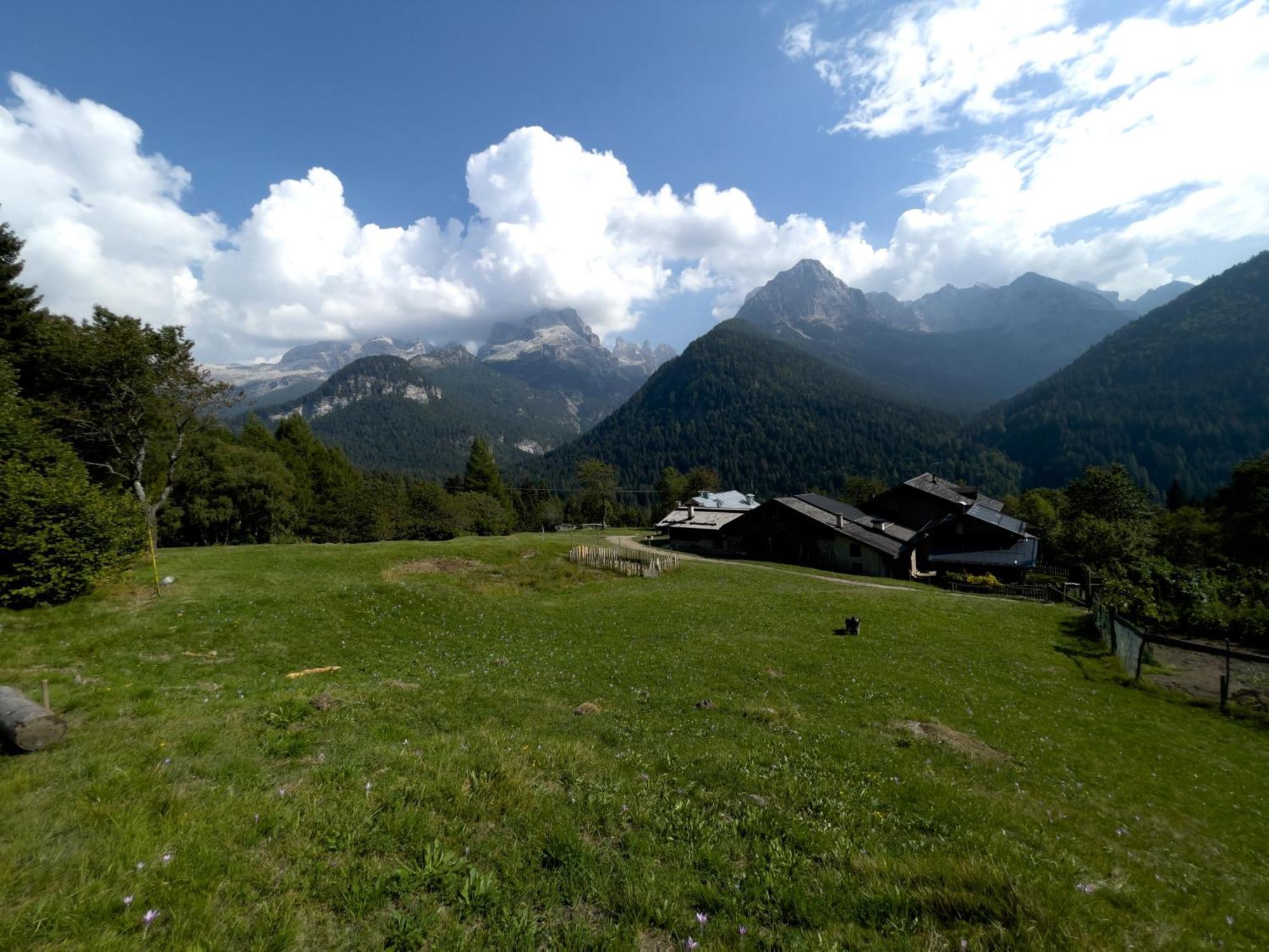 Villa Alpina Campiglio Madonna di Campiglio Exterior photo