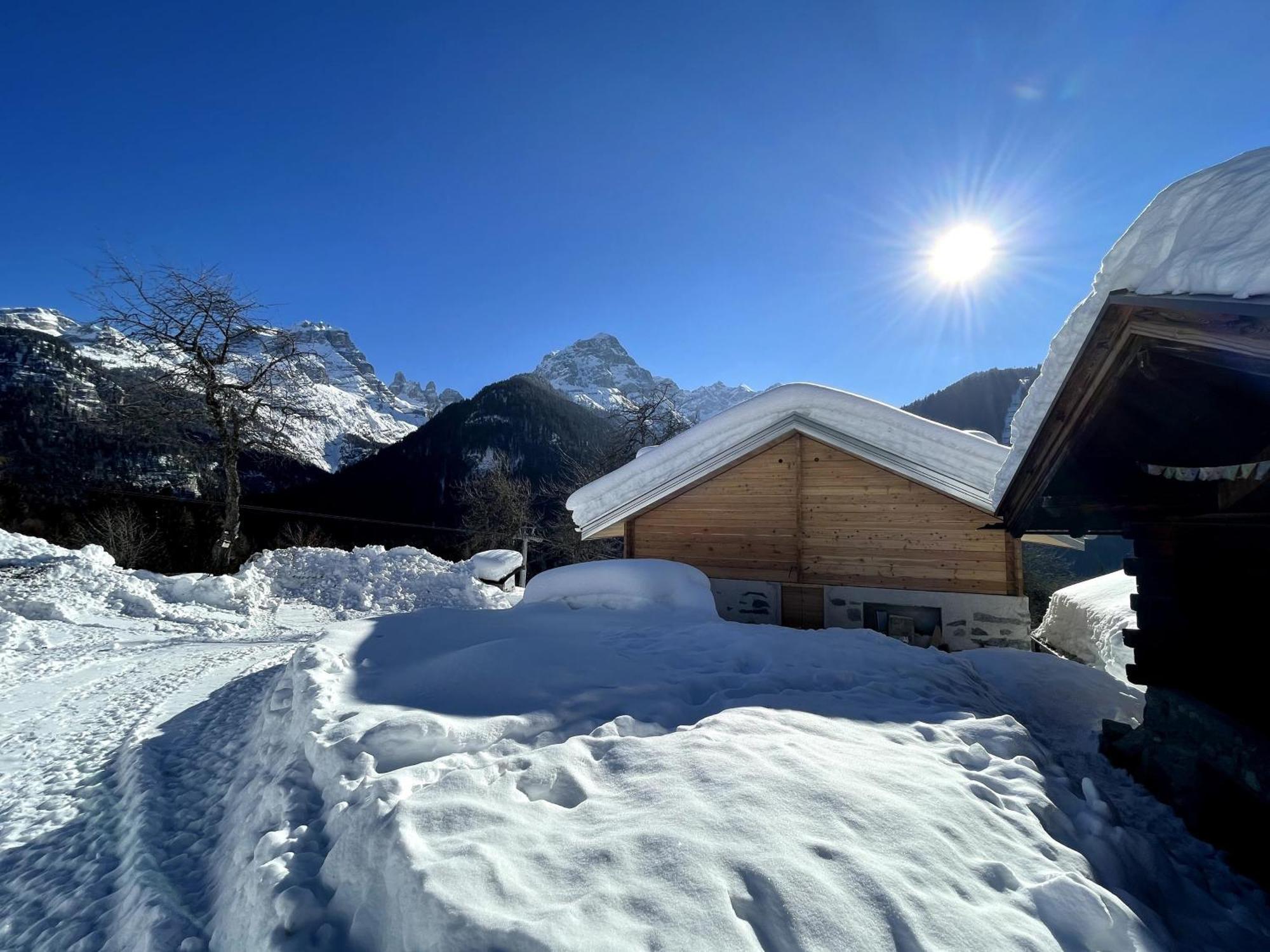 Villa Alpina Campiglio Madonna di Campiglio Exterior photo
